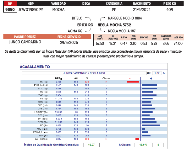 Lote LOTE 51