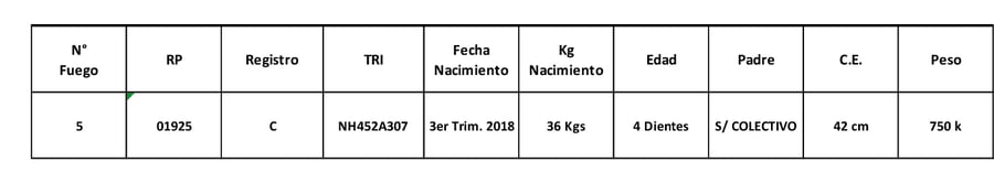 Lote LOTE 3 - TORO BRAFORD NO. 5