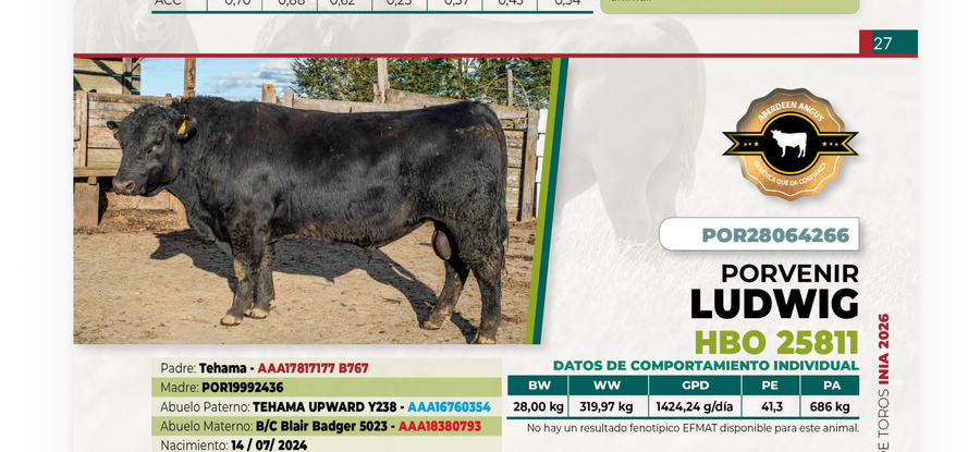 Lote 1 Toro LUDWIG DIIO 4266