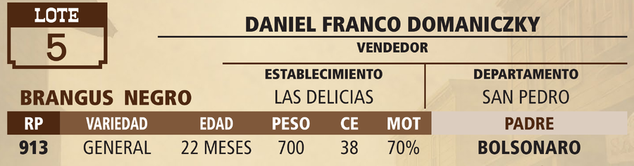 Lote LOTE 5 - VIVO