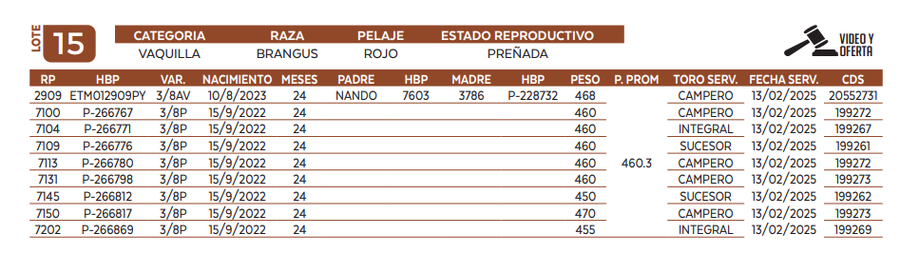 Lote LOTE 15