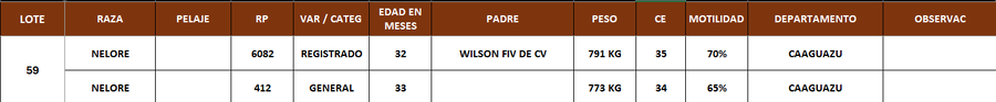 Lote LOTE 59