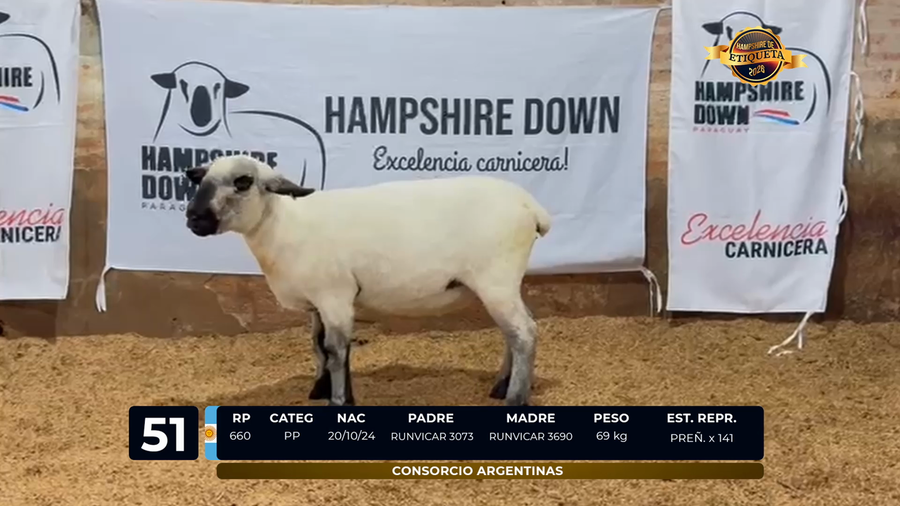 Lote LOTE 51