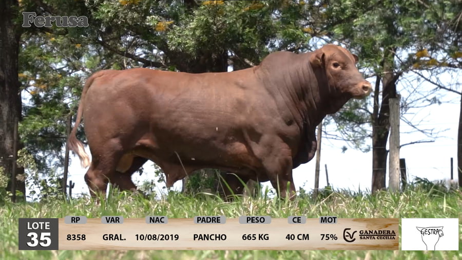 Lote Ganadera Santa Cecilia - Lote 35