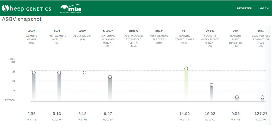Lote Carnero TOP, 17-0518
