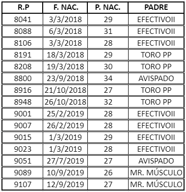 Lote VAQ. A. ANGUS NEGRAS P. CONTROLADAS C/GTÍA DE PREÑEZ