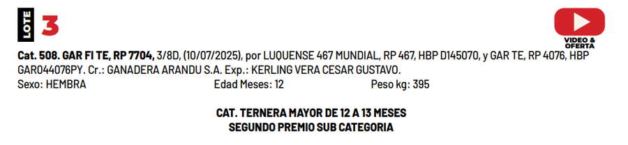Lote LOTE 3