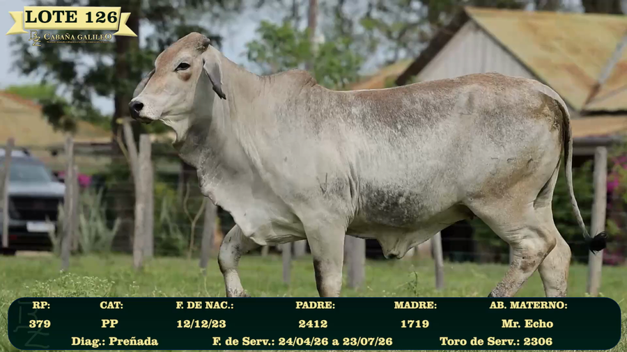 Lote LOTE 126