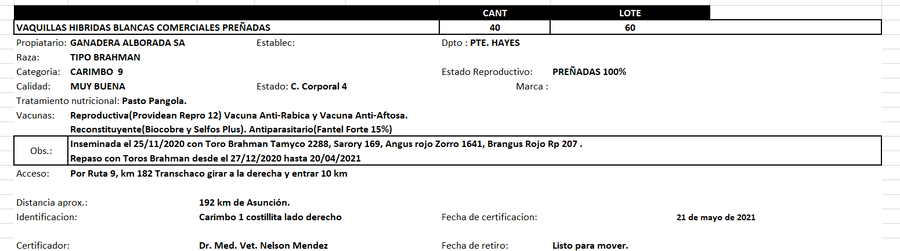 Lote Reproductores de Alborada - Lote 60