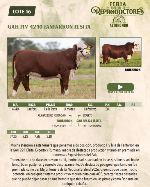 Lote LOTE 16