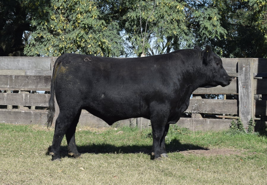 Lote CABAÑA “COEMBOTÁ” de Calderón RP 096