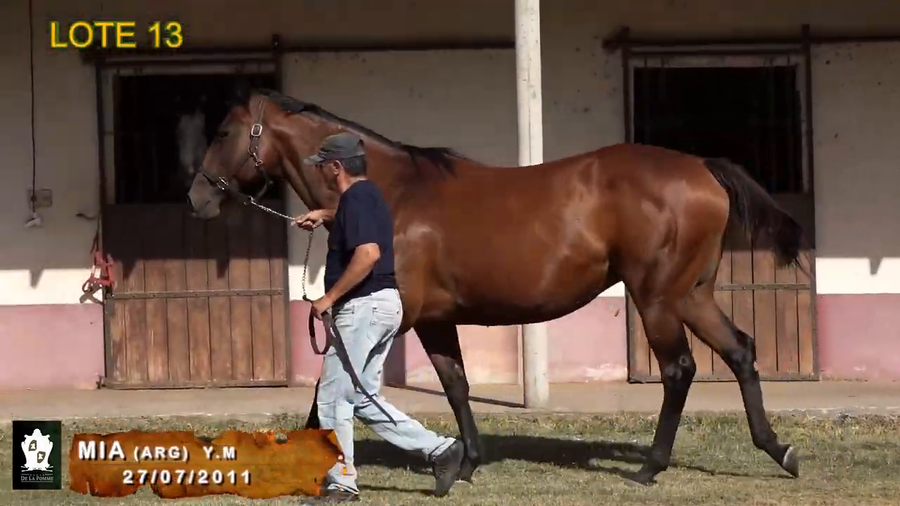 Lote Patria Mía (Arg)