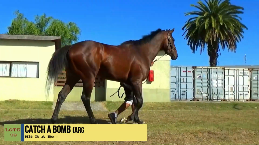 Lote CATCH A BOMB (ARG)