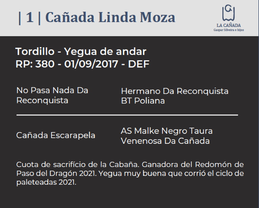 Lote Cañada Linda Moza (RP 380) Cabaña "La Cañada"
