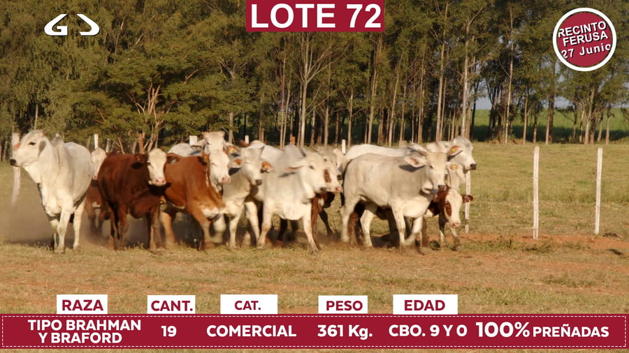 Lote Reproductores de Alborada - Lote 72