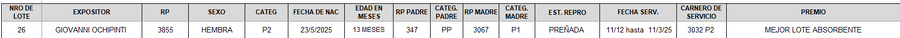 Lote LOTE 26 - CAMPO