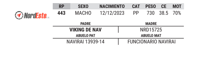 Lote LOTE 49