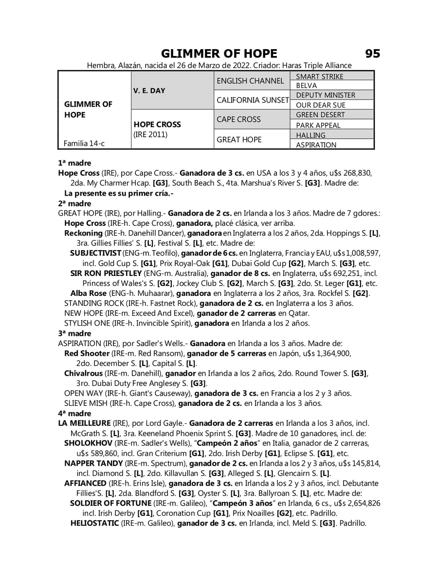 Lote GLIMMER OF HOPE