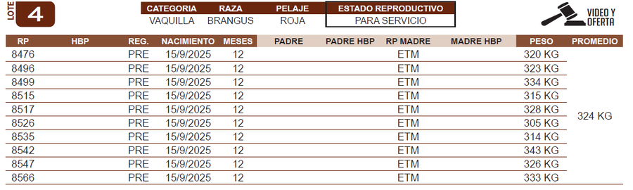 Lote LOTE 4