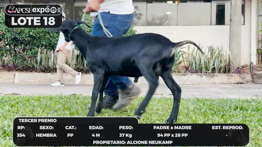 Lote LOTE 18 - BOZAL