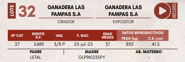 Lote LOTE 32 - TOROS DE CAMPO
