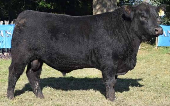 Lote CABAÑA "COEMBOTA" DE CALDERÓN RP 593 T/E