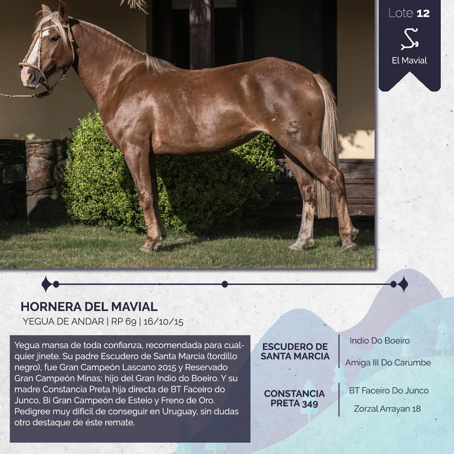 Lote HORNERA DEL MAVIAL