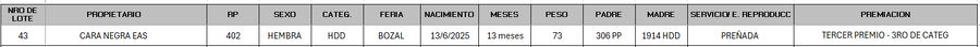 Lote LOTE 43 - BOZAL