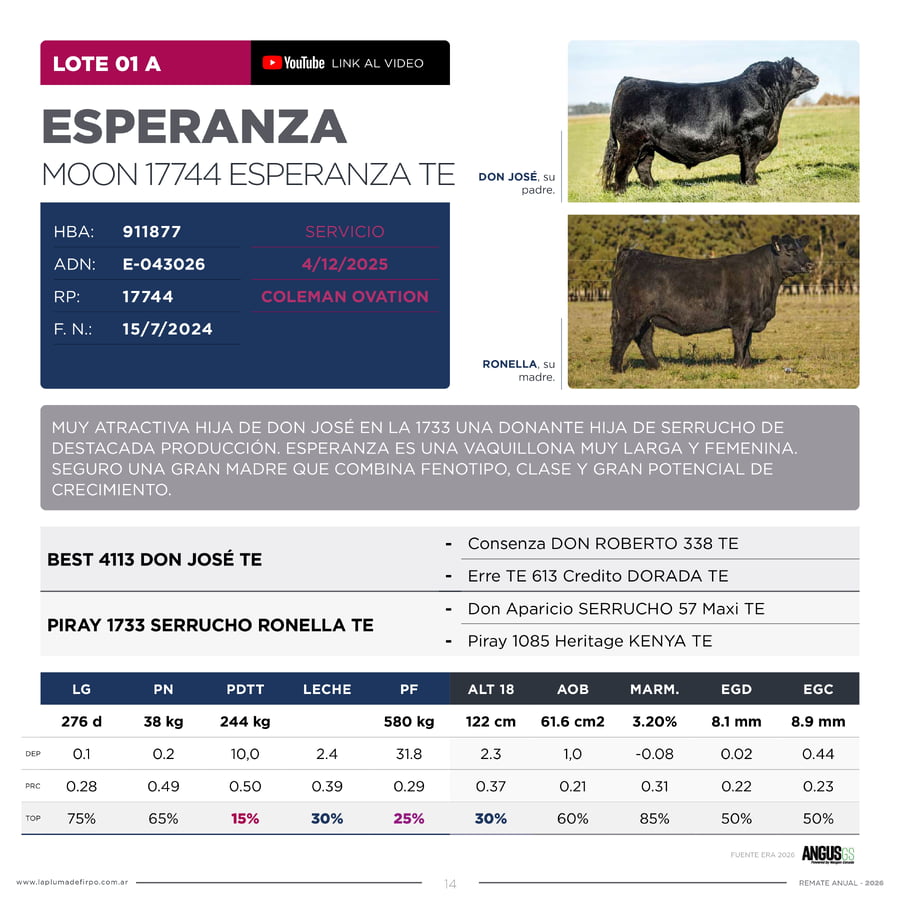 Lote RP 17744 y 17763 - VAQUILLONAS PP ELITE VENTA DE UNA ELECCION