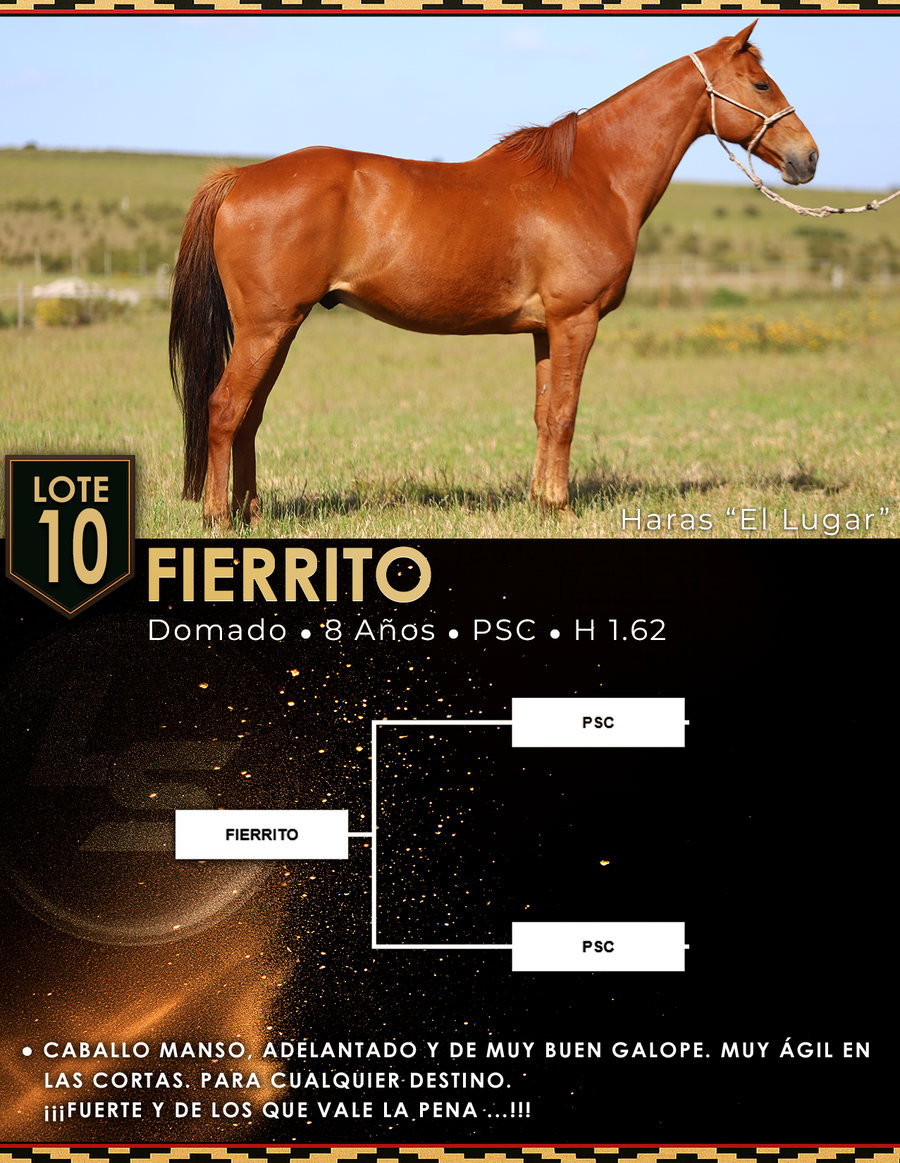 Lote FIERRITO