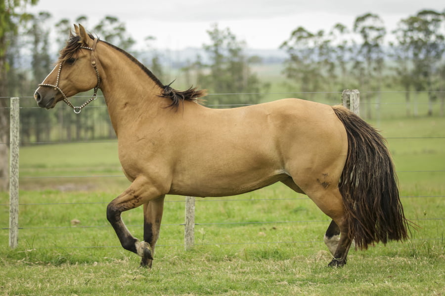 Lote Ronda 480 De La Casilla