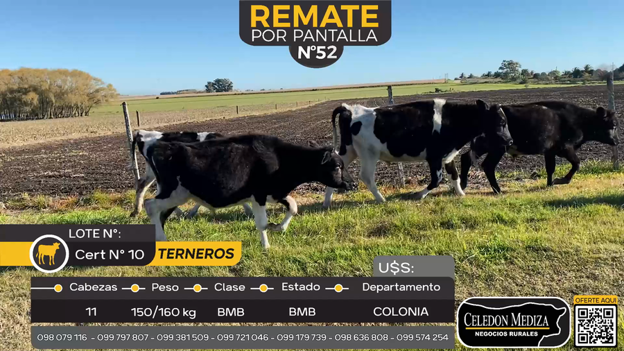 Lote 11 Terneros en Estanzuela, Colonia