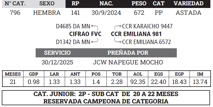 Lote LOTE 8 - BOZAL