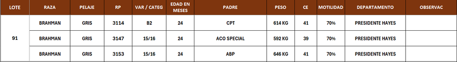 Lote LOTE 91- POR PANTALLA