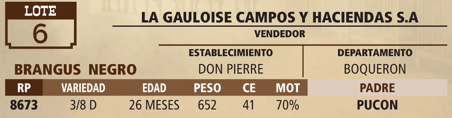 Lote LOTE 6 - VIVO