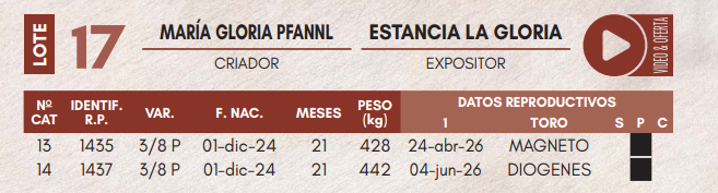 Lote LOTE 17 - VAQUILLAS DE CAMPO