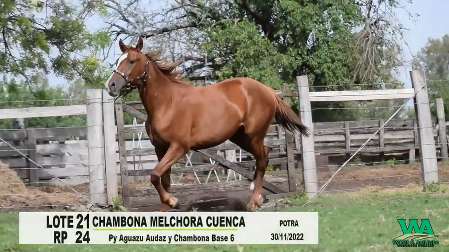 Lote CHAMBONA MELCHORA CUENCA