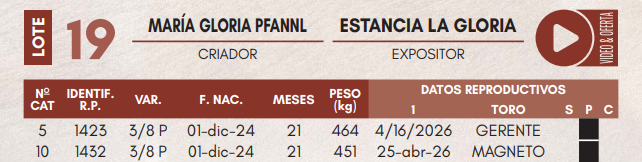 Lote LOTE 19 - VAQUILLAS DE CAMPO