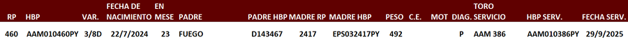 Lote LOTE 21