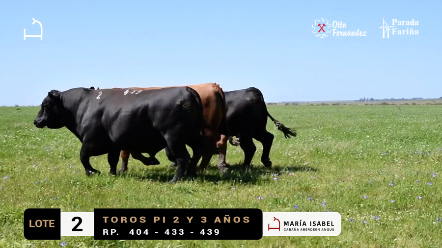 Lote LOTE 2