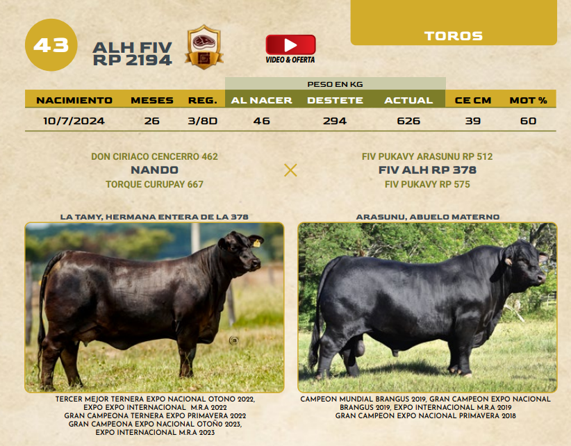 Lote LOTE 43