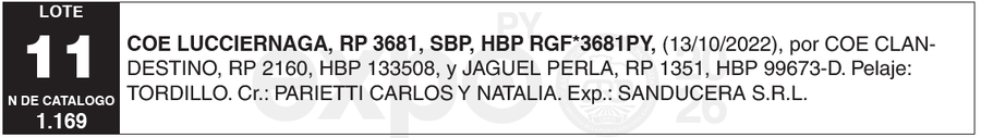 Lote LOTE 11