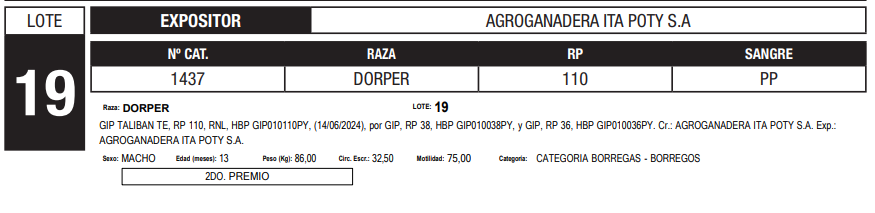 Lote LOTE 19
