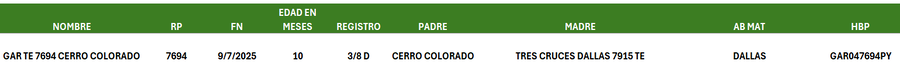 Lote LOTE 24