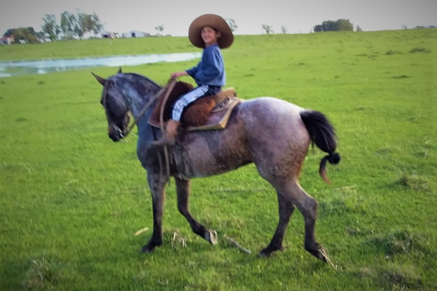 Lote Cabaña "Los Cencerros" - RP 429 - Onza