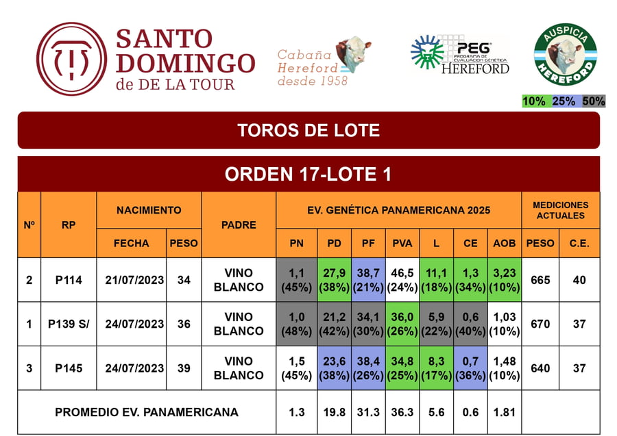 Lote Toros de Lote
