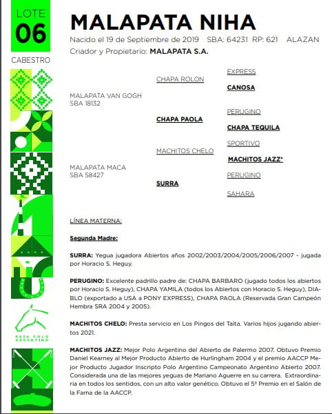 Lote MALAPATA NIHA(MALAPATA VAN GOGH-MALAPATA MACA)