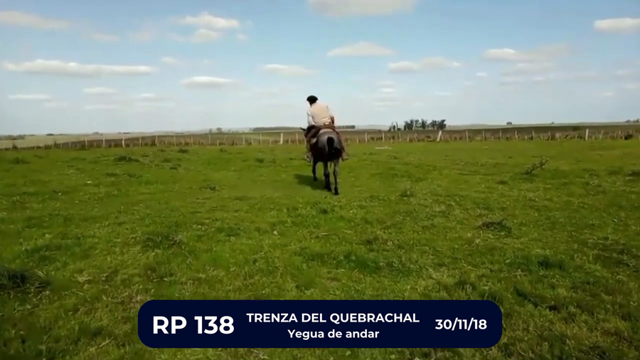 Lote TRENZA DEL QUEBRACHAL