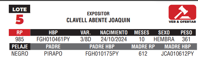 Lote LOTE 5 - JUNIOR