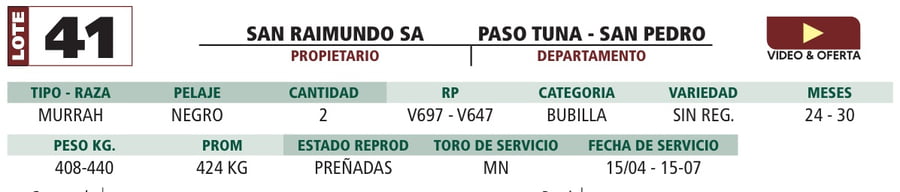 Lote LOTE 41